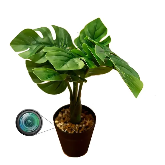 Camara De Seguridad Oculta En Maceta Planta HD